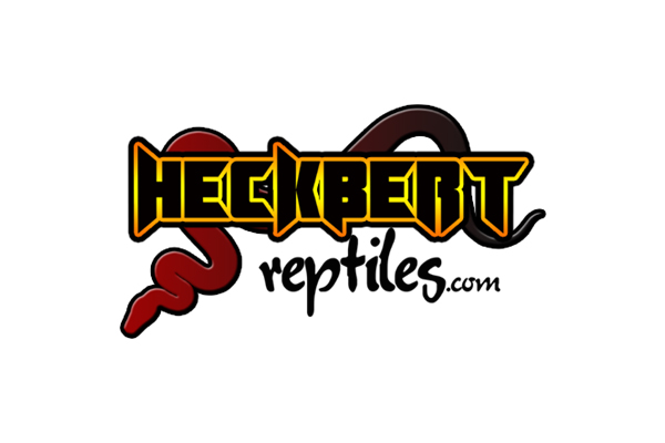 Heckbert Reptiles