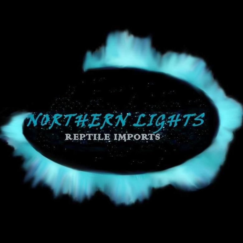 Northern Lights Reptile Imports - We move reptiles and amphi