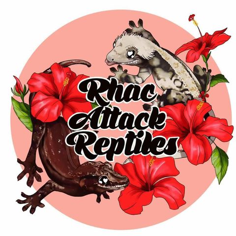  Rhac Attack Reptiles