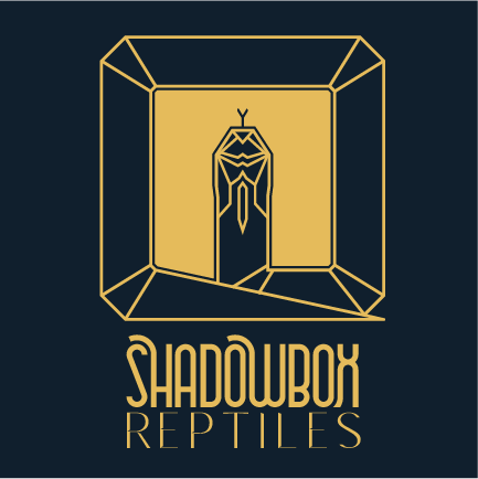  ShadowBox Reptiles