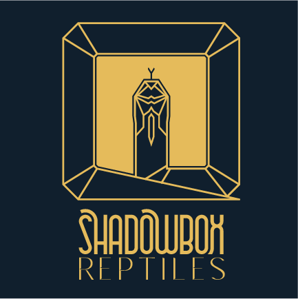 ShadowBox Reptiles