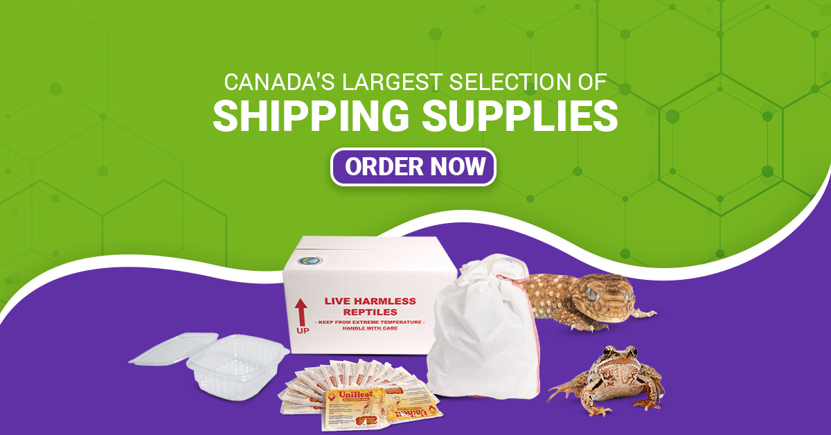 High Quality Shipping Supplies