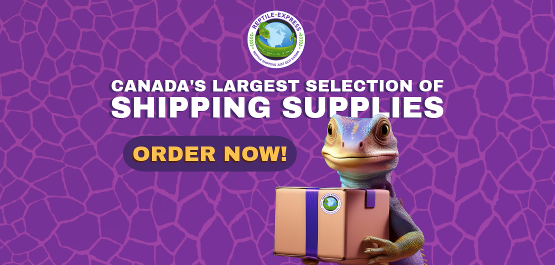 High Quality Shipping Supplies